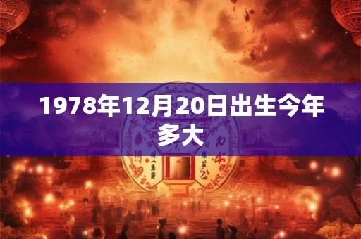 1978年12月20日出生今年多大