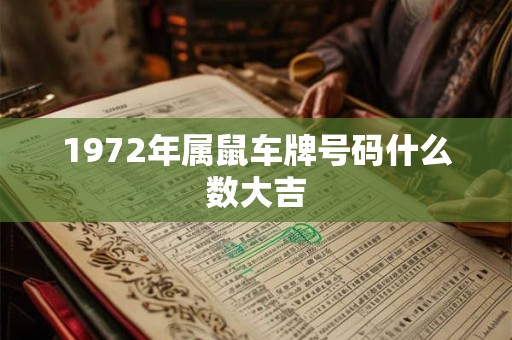 1972年属鼠车牌号码什么数大吉