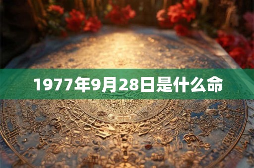 1977年9月28日是什么命