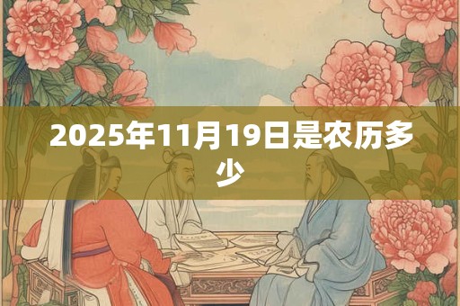 2025年11月19日是农历多少