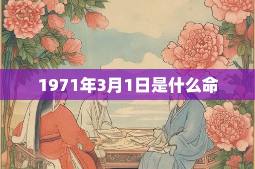 1971年3月1日是什么命