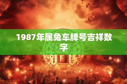 1987年属兔车牌号吉祥数字