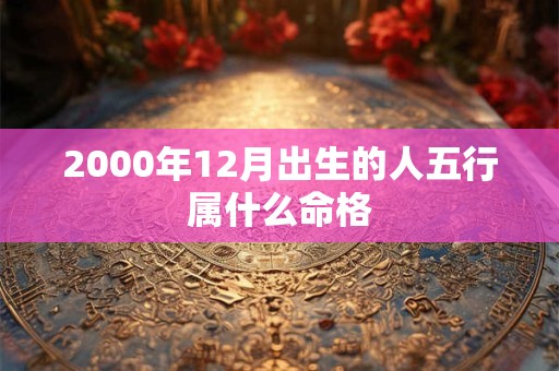 2000年12月出生的人五行属什么命格