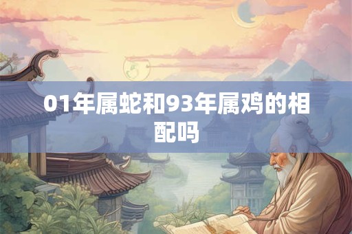 01年属蛇和93年属鸡的相配吗