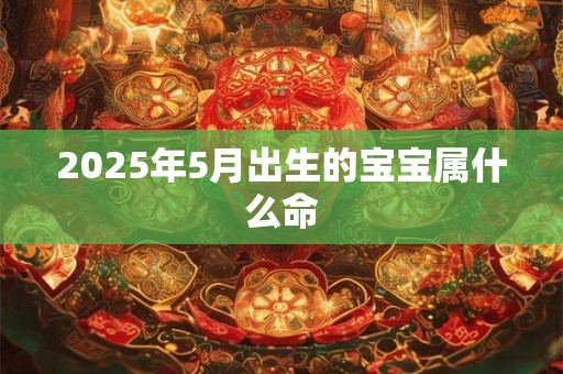 2025年5月出生的宝宝属什么命
