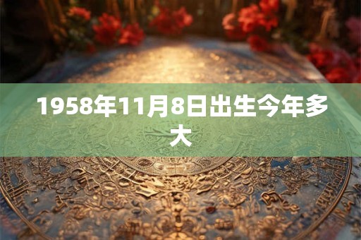 1958年11月8日出生今年多大