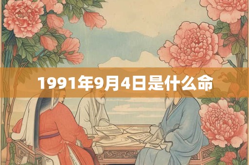 1991年9月4日是什么命