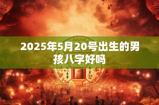 2025年5月20号出生的男孩八字好吗