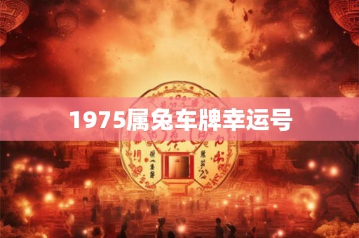 1975属兔车牌幸运号