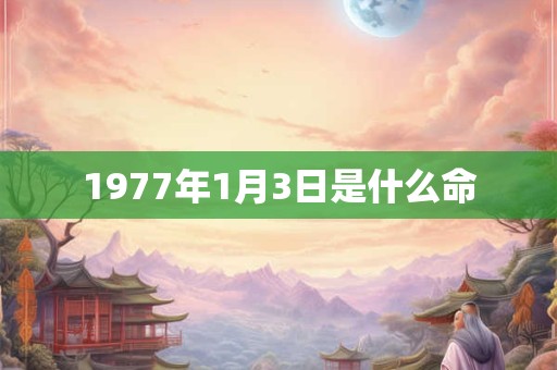 1977年1月3日是什么命