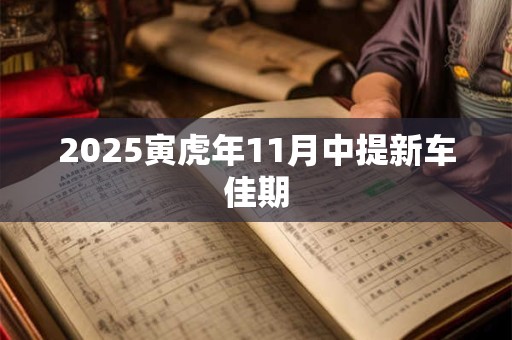2025寅虎年11月中提新车佳期