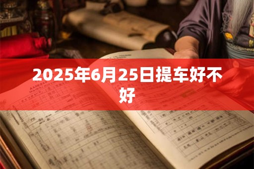 2025年6月25日提车好不好