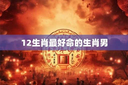 12生肖最好命的生肖男