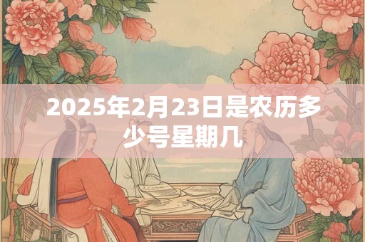 2025年2月23日是农历多少号星期几