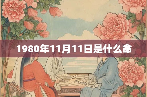 1980年11月11日是什么命