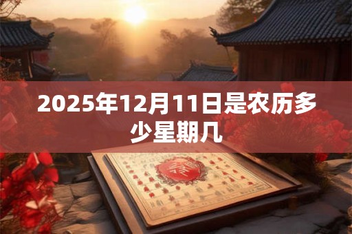 2025年12月11日是农历多少星期几