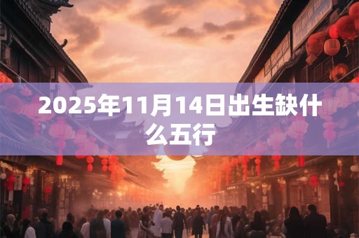 2025年11月14日出生缺什么五行