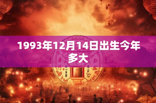 1993年12月14日出生今年多大