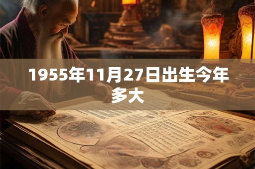 1955年11月27日出生今年多大