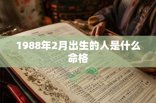 1988年2月出生的人是什么命格