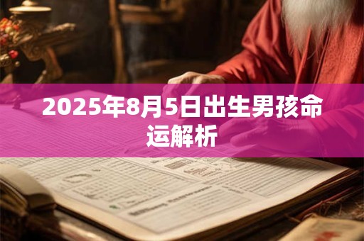 2026年8月5日出生男孩命运解析 2026年8月5日出生男孩命运解析