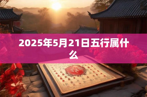 2025年5月21日五行属什么
