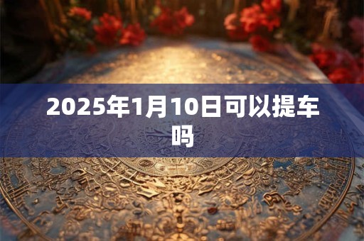 2025年1月10日可以提车吗