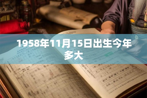 1958年11月15日出生今年多大