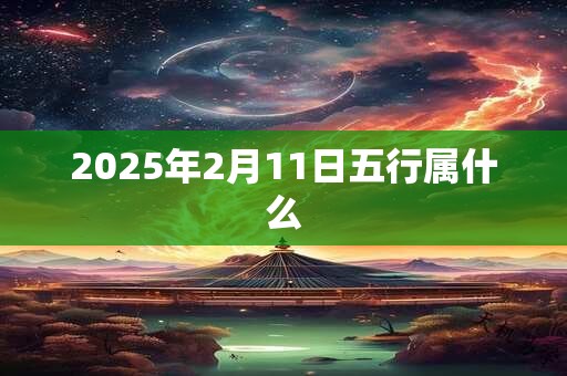 2025年2月11日五行属什么