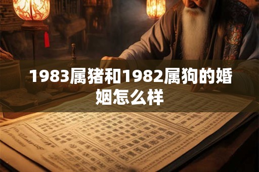 1983属猪和1982属狗的婚姻怎么样