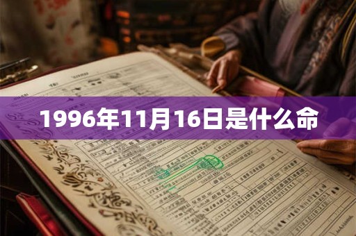 1996年11月16日是什么命