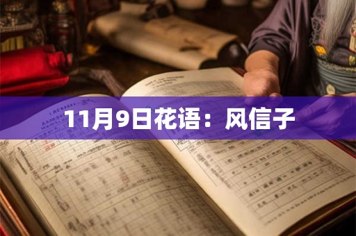 11月9日花语：风信子
