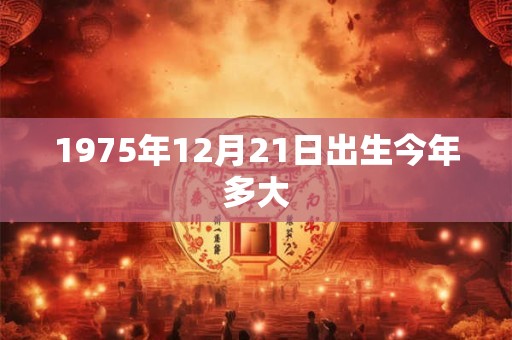 1975年12月21日出生今年多大