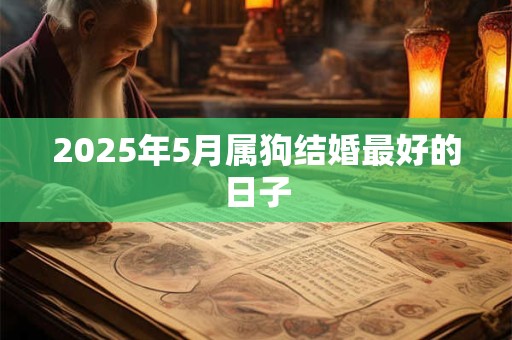2025年5月属狗结婚最好的日子 2025年5月属狗结婚最好的日子