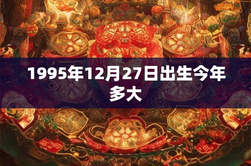 1995年12月27日出生今年多大