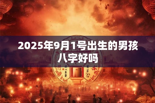 2025年9月1号出生的男孩八字好吗