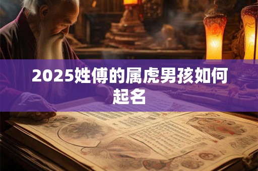 2025姓傅的属虎男孩如何起名