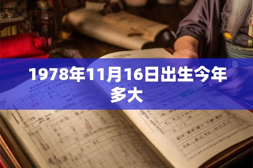 1978年11月16日出生今年多大