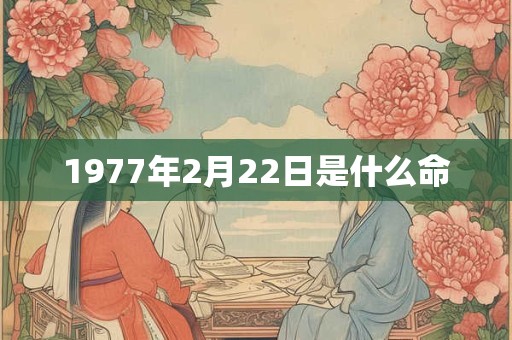 1977年2月22日是什么命