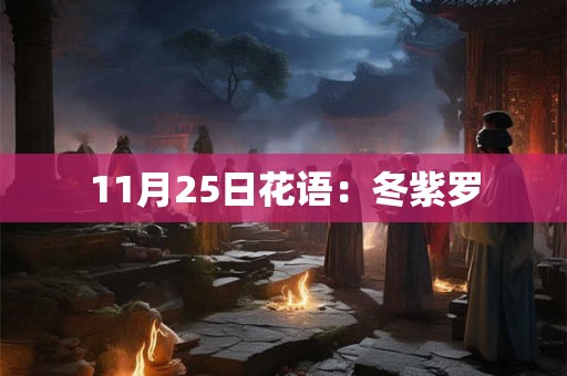 11月25日花语：冬紫罗