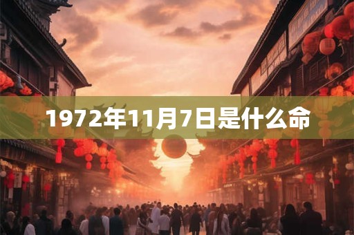 1972年11月7日是什么命