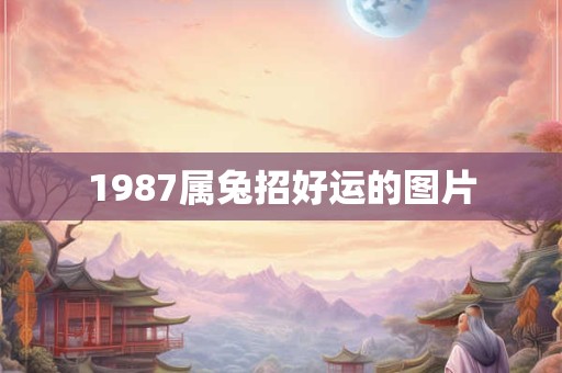 1987属兔招好运的图片