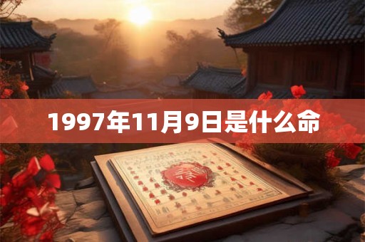 1997年11月9日是什么命