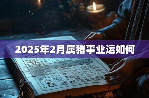 2025年2月属猪事业运如何