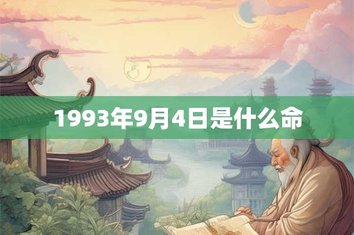 1993年9月4日是什么命