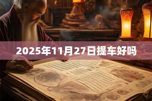 2025年11月27日提车好吗