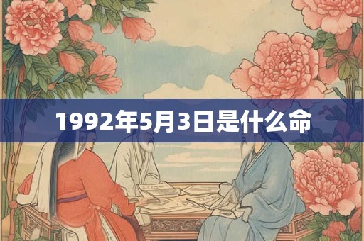 1992年5月3日是什么命