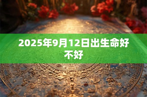 2025年9月12日出生命好不好