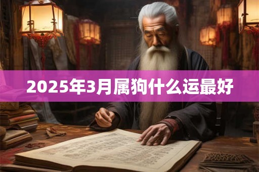 2025年3月属狗什么运最好
