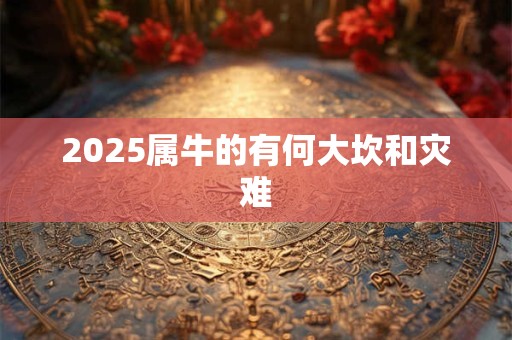 2025属牛的有何大坎和灾难